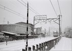 この写真がいつ撮影されたか正確な日時は不明ですが、昭和58年～59年にかけては全国的に大雪（五九豪雪）にみまわれました。<br />
国立でも昭和59年1月19日、15年ぶりの大雪に見舞われ、15㎝を超える積雪が記録されました。