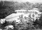 学校の隣には諏訪神社が鎮座しており、鬱蒼とした鎮守の森がみえる。