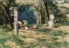昭和54年に六道山で行われたゴミ掃除の写真。