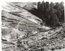 昭和35年頃に撮られた、六道山を開墾する様子を写したもの。畦道には籠を持って作業をする人の姿が見える。