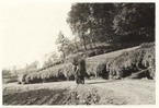 昭和20年頃に、狭山丘陵の麓にあるたち山地蔵堂付近で撮影された写真。山から薪を背負って家路につく様子を写したもの。戦時中から戦後にかけて、家事の燃料に使う薪集めは大切な仕事だった。