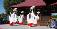 正福寺で毎年11月3日に開催される地蔵祭の様子です。正福寺境内にある八坂神社仮社前に特設舞台が設置され、浦安の舞が舞われています。間近に浦安の舞が見学できるのは、特別な公開がない限り、この地蔵祭が唯一の機会です。