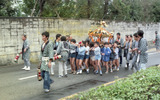 府中市是政に鎮座する是政八幡神社では、祭礼に際し、地域の子どもたちが担ぐ子供神輿の巡行がなされる。写真は東京競馬場との境の道路を巡行しているところ。