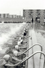 福生第二中学校は、昭和40年（1965）に福生中学校の分校として創立されました。<br />
あごひもが付いた水泳帽をかぶった生徒たちがプールでバタ足をしています。<br />
